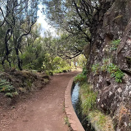 アパート Estrela House Iii, Calheta, Madeira